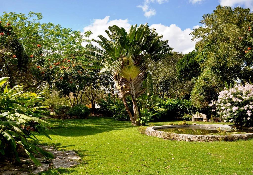 Hotel Hacienda San Francisco Tzacalha Dzidzantún Exterior foto